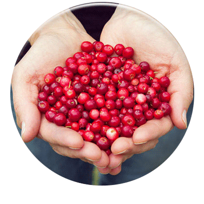 Cranberries